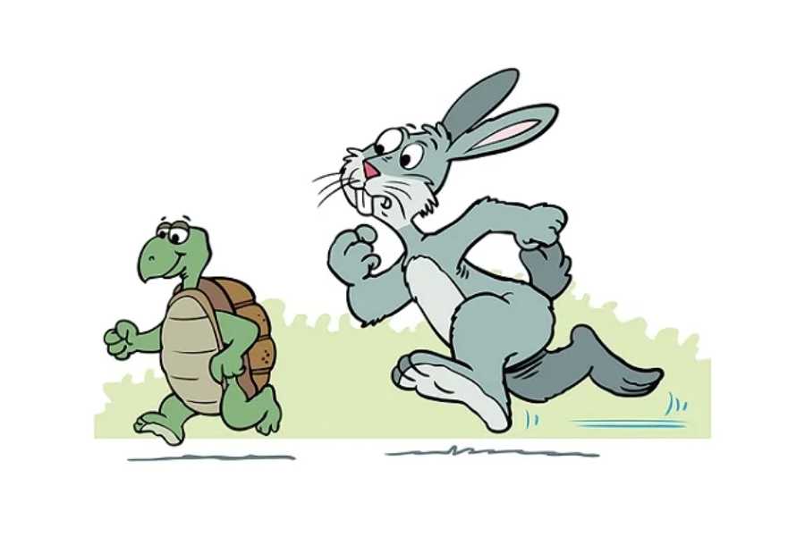 El desafío de la liebre y la tortuga: una lección de paciencia y perseverancia-⭐Cenicientas.es