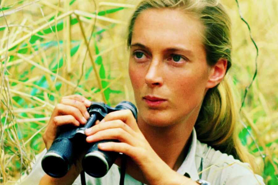 Exploradora de la selva tropical y defensora de los derechos de los animales-⭐Cenicientas.es