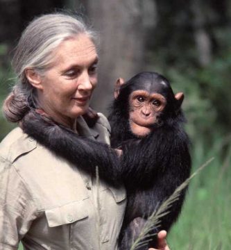 Exploradora de la selva tropical y defensora de los derechos de los animales-⭐Cenicientas.es